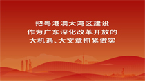 把粵港澳大灣區建設作為廣東深化改革開放的大機遇、大文章抓緊做實